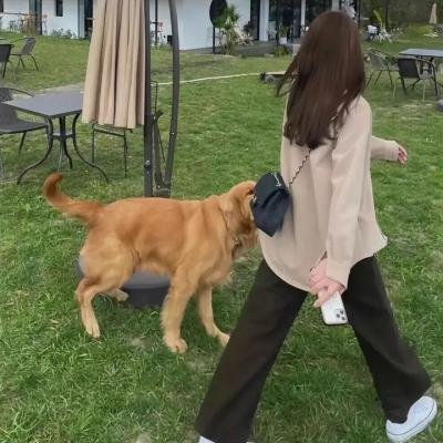 小小擦鞋匠
